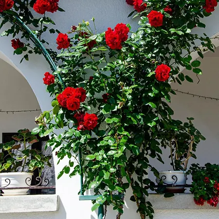 Bánóporta Affittacamere