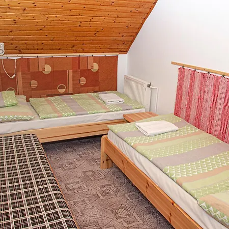 Banoporta Pensionat 4*
